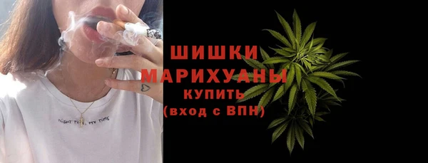 дживик Снежногорск