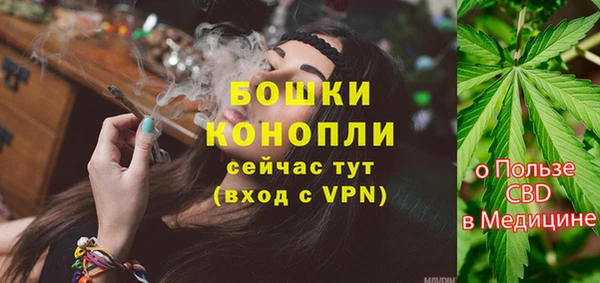 твердый Богородицк