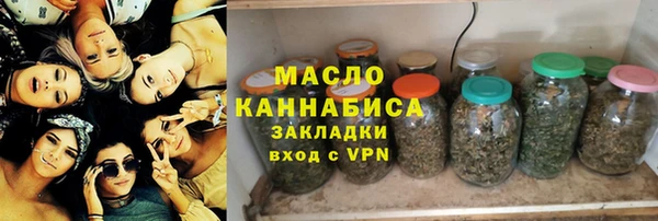 дживик Снежногорск
