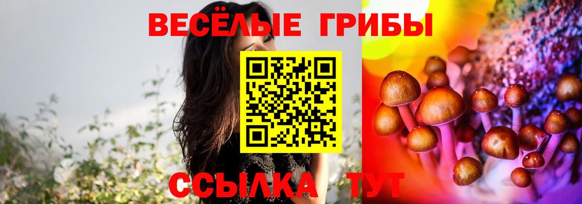 Псилоцибиновые грибы Psilocybine cubensis  Вход с VPN  Среднеуральск 